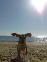 Mi colega Chuck